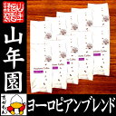 【北海道焙煎】レギュラーコーヒー ヨーロピアンブレンド 挽き豆 大容量 500g×10袋セット 送料無料 コーヒー 珈琲 粉 高級 コーヒー豆 ドリップコーヒー アウトレット 訳あり ギフト プレゼント お歳暮 クリスマス お茶 2017 内祝い お返し 父 誕生日 早割