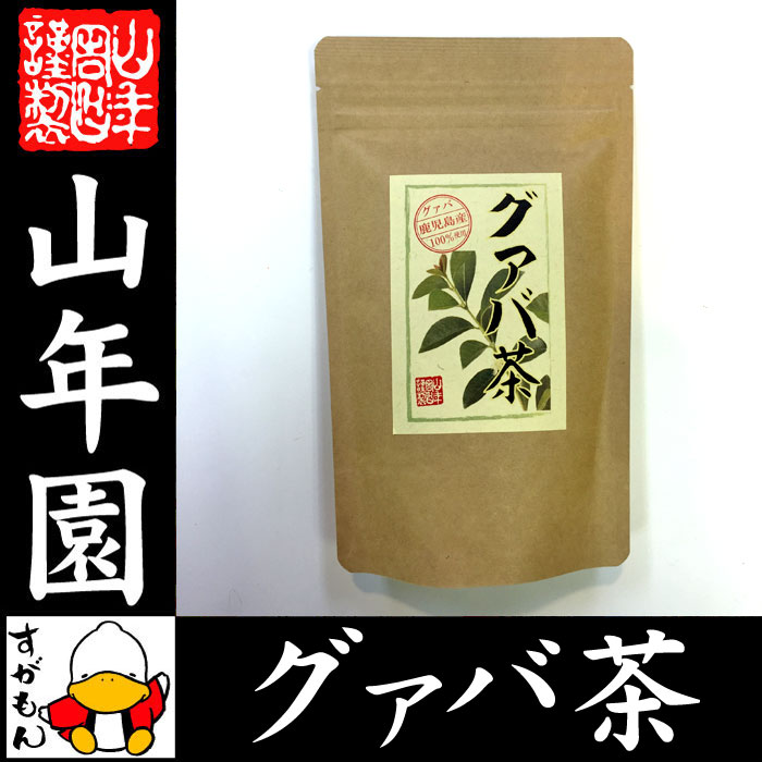 【国産 100%】グァバ茶 3g×16パック ティーパック ノンカフェイン 鹿児島県産 無農薬 送料無料 グアバ茶 健康茶 妊婦 ダイエット ティーバッグ サプリ 苗 セット ギフト プレゼント 母の日 父の日 プチギフト お茶 2018 内祝い お返し