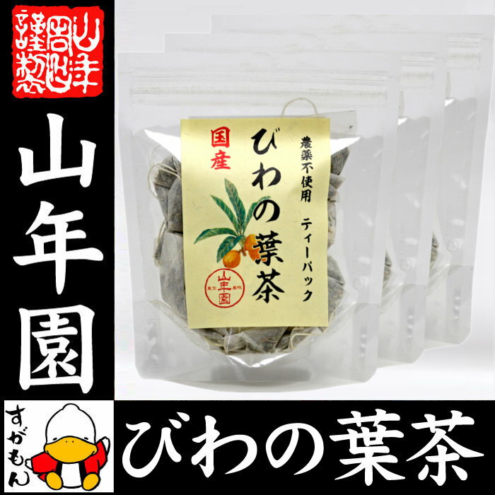 【国産100%】びわ茶 びわの葉茶 ティーパック 1.5g×20パック×3袋セット 宮崎産　鹿児島県産 無農薬 ノンカフェイン 送料無料 ティーバッグ 枇杷茶 枇杷の葉 国産 ビワ ビワの葉 高級 ギフト プレゼント お歳暮 お年賀 プチギフト お茶 2018 内祝い お返し 早割