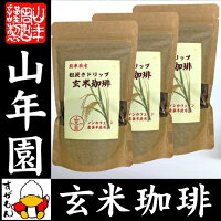 お茶 健康茶2 玄米珈琲 ドリップタイプ