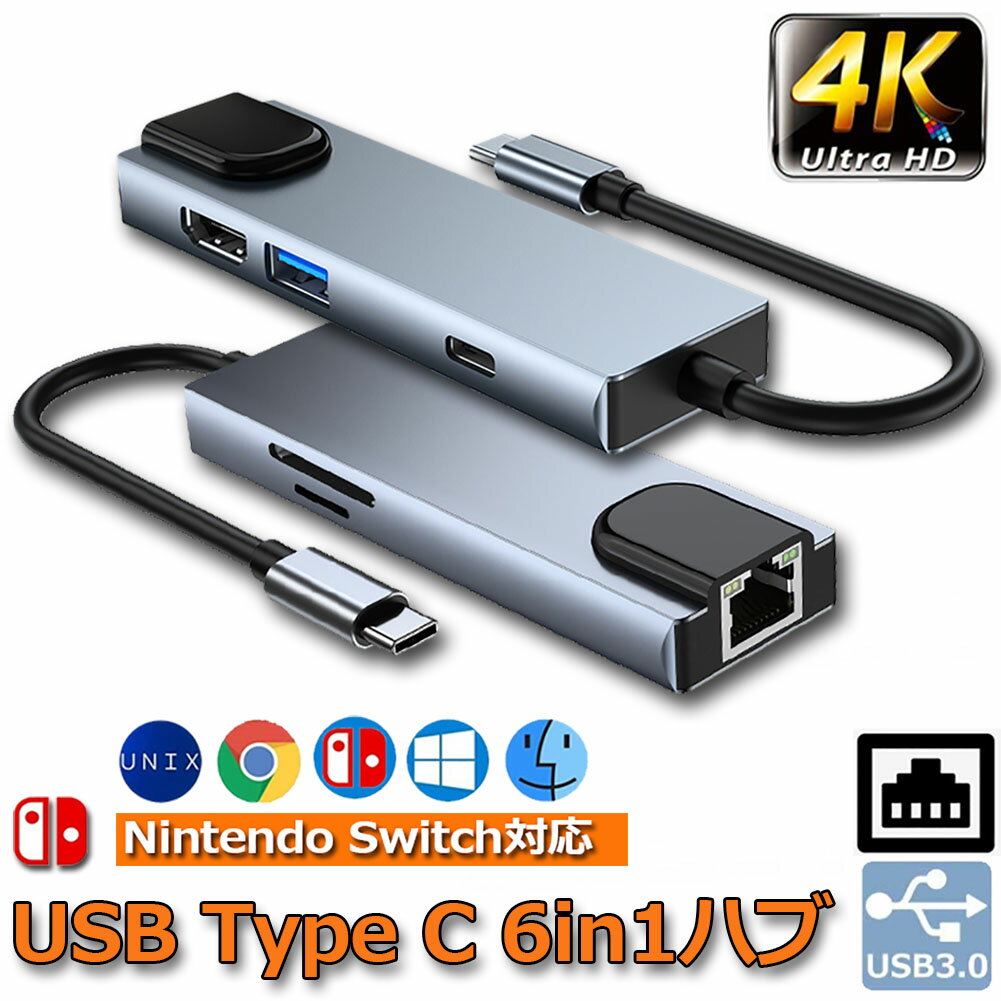 USB TypeC ハブ 6 in 1 Nintendo Switch対応 4K