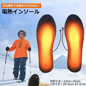 電熱インソール 中敷き ヒートインソール USB加熱式 足元暖める 防寒対策 冬要 電熱 防寒具 電熱ウェア 靴底 下着 フットウェア インソール 男女兼用