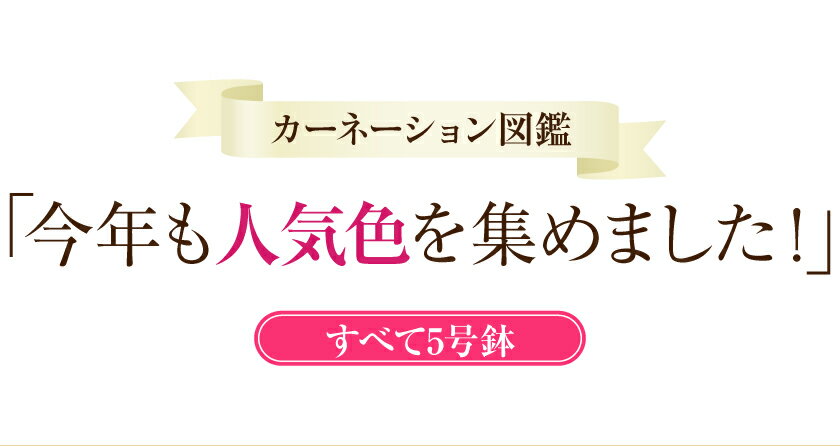 ����� �� ���ե� �����͡������ �ץ쥼��� 5��ȭ �����ջ���Ǥ��ޤ������̤�������ޤ�����̵�� ����������եȥ����͡������� ����� �ڥ����͡��������ľ���ʼ��ۿ��̸��ꡡȭ����