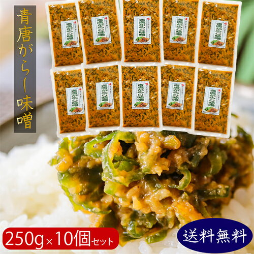 楽天季折　楽天市場店【送料無料】青唐辛子味噌 250g×10個セット 青唐がらし味噌 ご飯のお供 信州味噌 青とうがらし 味噌 青唐辛子 おかず味噌 お酒のおつまみ 万能調味料 季折