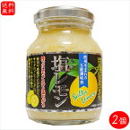 【送料無料】塩レモン 180g×2個 瀬戸内産レモン使用 万能調味料 焼肉 サラダ ドレッシング 季折