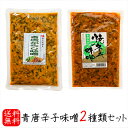 【送料無料】青唐辛子味噌2種類セット 青唐辛子味噌250g 青唐焼ネギ味噌250g 青唐がらし 青とうがらし 母の日 父の日 ご飯のお供 青唐がらし味噌 信州味噌 ピリ辛 惣菜 ギフト プレゼント 季折