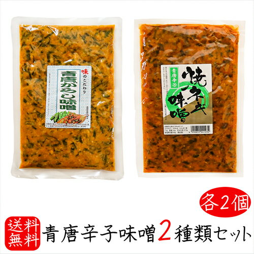 【送料無料】青唐辛子味噌2種類セット 各2個 青唐辛子味噌 250g×2個 青唐焼ネギ味噌250g×2個 青唐がら..