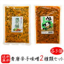 【送料無料】青唐辛子味噌2種類セット 各3個 青唐辛子味噌 250g×3個 青唐焼ネギ味噌250g×3個 青唐がらし 青とうがらし 母の日 父の日 ご飯のお供 青唐がらし味噌 信州味噌 ピリ辛 惣菜 ギフト プレゼント 季折