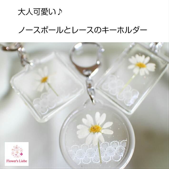 シンプルな可愛さ♪ ノースポールの 押し花 キーホルダー 花 ギフト プレゼント 父の日 実用的 プチギフト 大人可愛い おしゃれ かわいい 本物の花 自転車 鍵 誕生日 退職 女性 レディース バッグチャーム レジン アクリル ボタニカル