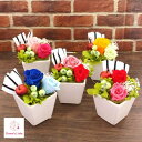プリザーブドフラワー プチフラワー バラ プチギフト 花 プレゼント 先生 お礼 お祝い 誕生日 退職 異動 卒業 ペット 猫 犬 仏花 お供え ケース入り 青...
