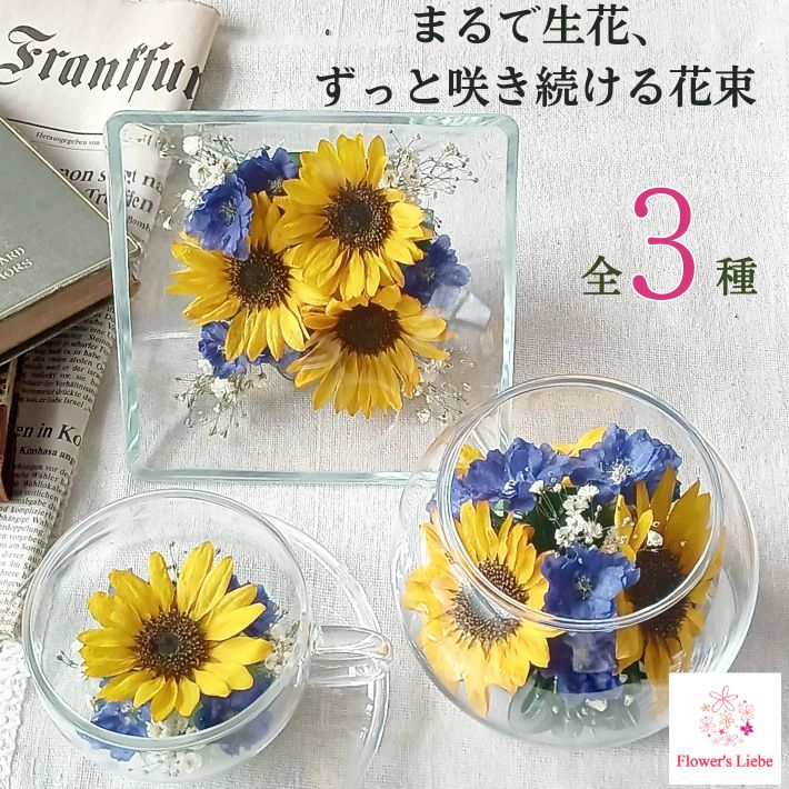 貰って嬉しい 枯れない花束 ボトルフラワー ギフト【 ひまわり】 本物の花を ドライフラワー に加工 大切な記念日のお花が綺麗に長持ちします ご高齢にも安心 水替え不要で手間いらず 7月 8月 夏のお誕生日プレゼント 暑中見舞い お盆 ヒマワリ 向日葵 ボール ティーカップ