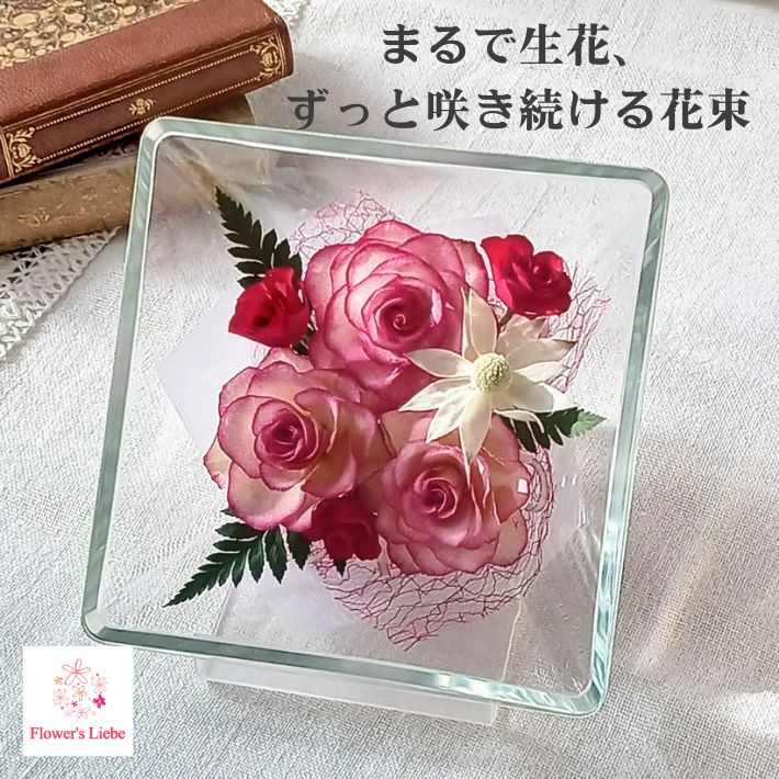 äƴ򤷤 Ϥʤ« ܥȥե եȡڥMˡХ եͥե ʪβ֤ ɥ饤ե ˲ù ...
