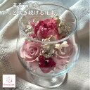 貰って嬉しい 枯れない花束 ボトルフラワー ギフト【グラス(S): チューリップ バラ】 本物の花を ドライフラワー に加工 大切な記念日のお花が綺麗に長持ちし...