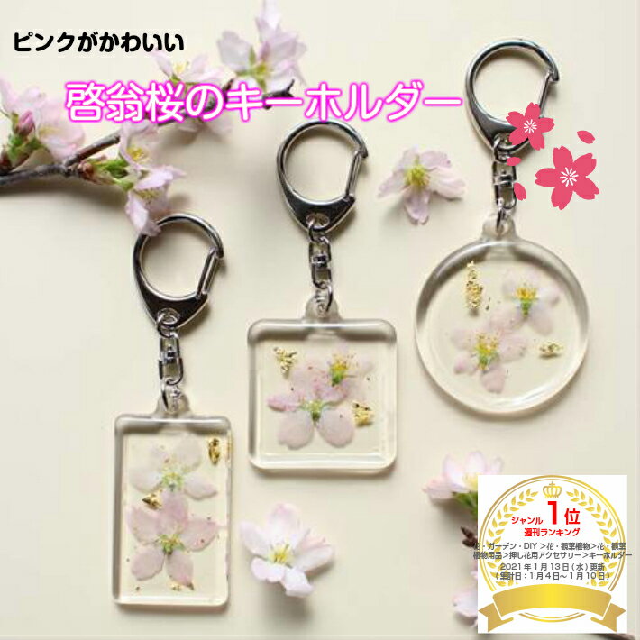 日本の花はやっぱり桜！啓翁桜の 押し花 キーホルダー サクラ さくら 花 ギフト プレゼント 母の日 実用的 プチギフト 大人可愛い おしゃれ かわいい 本物の花 自転車 鍵 誕生日 退職 女性 レディース バッグチャーム レジン アクリル ボタニカル