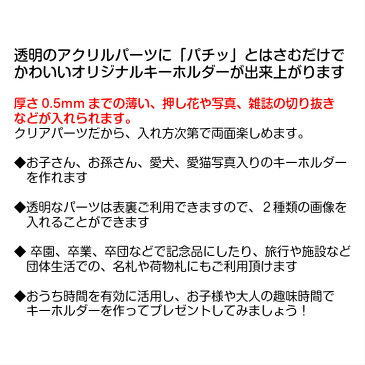 ハメパチ キーホルダー 丸 5個セット 押し花 写真 雑誌 切り抜き ハンドメイド 記念品 祖父母 子供 孫 プレゼント おうち時間 はめぱち ペット 犬 猫 名札 趣味 オリジナルデザイン ナスカン 敬老の日 40mm