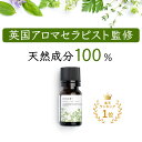 マギーティスランド エッセンシャルオイル ジャスミン6ml [キャンセル・変更・返品不可]