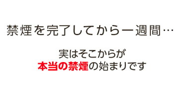 離煙パイプ用 携帯ストラップ式ケース【御守パイプ】