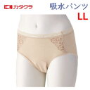 【LL】【薄くて目立たない軽失禁パンツ】吸水ジャガードショーツ女性用 日本製