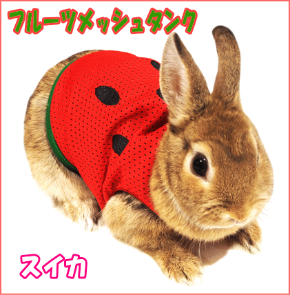 うさちゃんの服ラビットミニ フルーツメッシュタンク（スイカ） レインボーのサムネイル