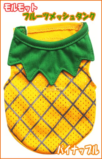 ����å��ѥ����� �ե롼�ĥ�å��奿�󥯡ʥѥ��ʥåץ�� �쥤��ܡ�