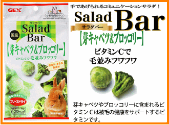 [GEX]SaladBarサラダバー国産　芽キャベツ＆ブロッコリー8g