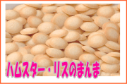 楽天市場 ハイペット 国産 無着色ハムスター リスのまんまスペシャル110g E ペット屋さん 未購入を含む みんなのレビュー 口コミ