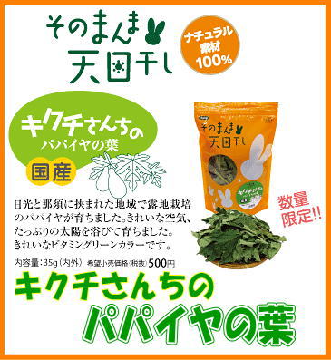 [KAWAI]そのまんま天日干し!キクチさんちのパパイヤの葉
