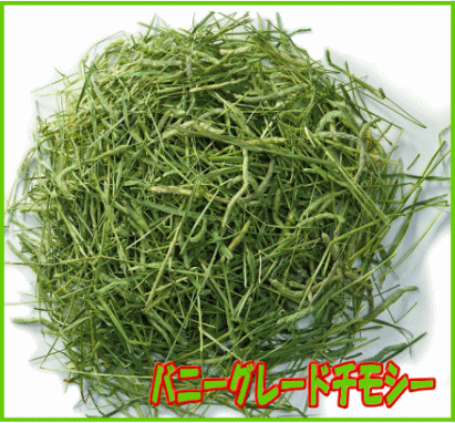 うさぎ・モルモット・チンチラなどの小動物に！うさぎの食べる牧草バニーグレード...