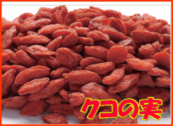 小鳥・小動物用おやつ・みんなのレストランいきいきクコの実 55g