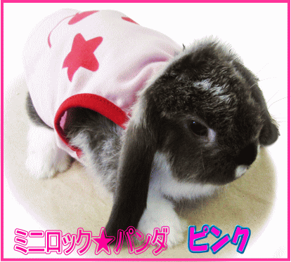 【数量限定大特価】うさちゃんの服ミニロックパンダ（ピンク） レインボー