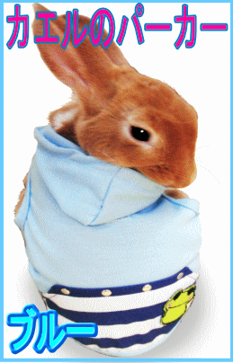 ��ӥåȥߥˡ�������Υѡ������ʥ֥롼�� �쥤��ܡ�