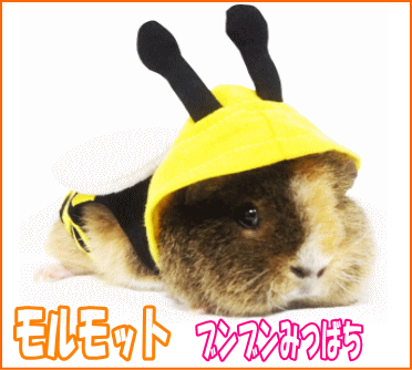 楽天市場 レインボー モルモット用ウエアブンブンみつばち E ペット屋さん