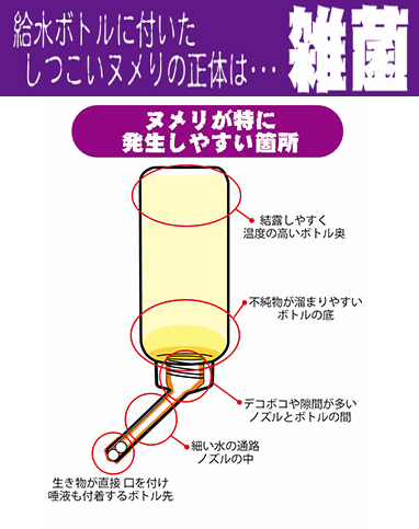 ��ưʪ�ε��ܥȥ�俩��ν��ݺޡ��������� �����������ܥȥ륯�꡼�ʡ�