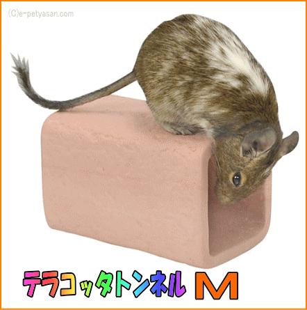 乐天商城 - シマリス・デグー・モモンガ等の素焼きのカクレガ！テラコッタトンネルM[三晃商会]