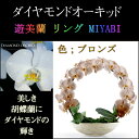 胡蝶蘭 お祝い 2本立ち ブロンズ ダイヤモンド オーキッド MIYABI 大輪 リング ギフト