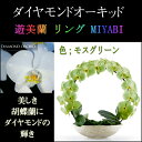 胡蝶蘭 お祝い 2本立ち モスグリーン ダイヤモンド オーキッド MIYABI 大輪 リング ギフト