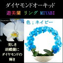 胡蝶蘭 お祝い 2本立ち ネイビー ダイヤモンド オーキッド MIYABI 大輪 リング ギフト
