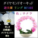 胡蝶蘭 お祝い 2本立ち サクラ ダイヤモンド オーキッド MIYABI 大輪 リング ギフト