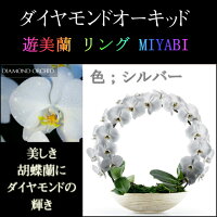 胡蝶蘭お祝い2本立ちシルバーダイヤモンドオーキッドMIYABI大輪リングギフトお届け先本州四国送料無料お届け先北海道九州沖縄送料2,000円