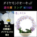 胡蝶蘭 お祝い 2本立ち スミレ ダイヤモンド オーキッド MIYABI 大輪 リング ギフト