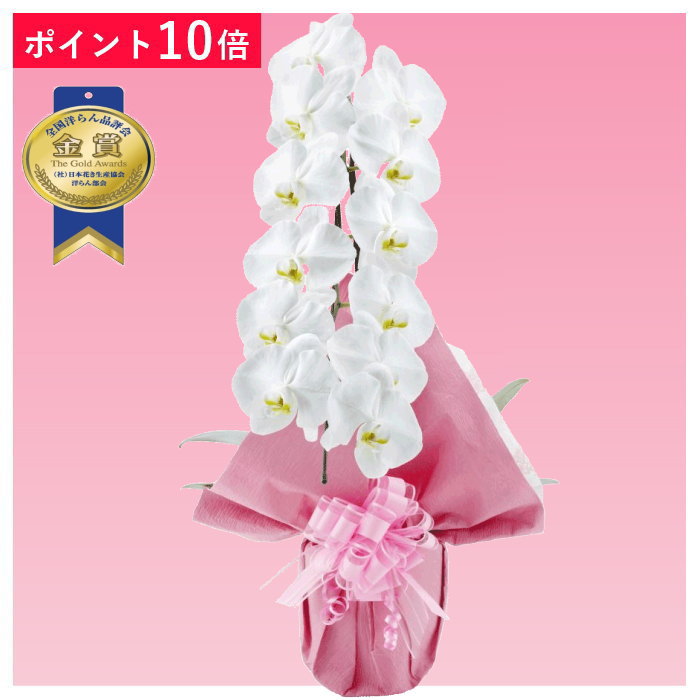■お届け日時 弊店営業日の15時迄にご注文を頂きましたら、翌々日出荷致します。 北海道、九州、沖縄地域へのお届けは、出荷してお届けする迄に2日以上掛かります。 ■立札、メッセージカード、ラッピング 立札（木目札・紙札）、メッセージカードは無料。ご希望の色でエレガントな二重ラッピングをしてお届けさせて頂きます。木札は木の板に木目調の紙札を貼り付けた物となります。 ■サイズ 高さ 約50〜65cm　幅 約25cm　鉢サイズ 約15cm　※仕立て状態により変わる場合があります。 ■画像配信 お届けした商品写真をメールにてお送り致します。 ■その他 北海道・寒冷地域へのお届けは温度障害を防ぐため、4月〜11月までの期間しか出荷できません。気象条件により可能な場合も有りますので、詳しくはお問合せ願います。 弊店休業日のご注文は翌営業日の扱いとなります。 ■注意事項 ご注文のタイミングにより開花していない場合が稀にある為、ご希望の納期にお届けできない場合がございます。ご注文前にお問合せ頂けましたら開花状況をお知らせ致します。 ポイント10倍 胡蝶蘭 1本立ち 1本立 1本 大輪胡蝶蘭 大輪系胡蝶蘭 白色 ホワイト 大輪 洋蘭 洋ラン 胡蝶 ラン 蘭 洋 鉢 フラワーショップ乃木坂 乃木坂 お祝い ギフト 就任 誕生日 開店 祝い 開店祝い 開業 新年 挨拶 還暦 お盆 敬老の日 敬老 クリスマス 正月 お供え 花 匿名 配送 送料 送料無料 安い お急ぎ 沖縄