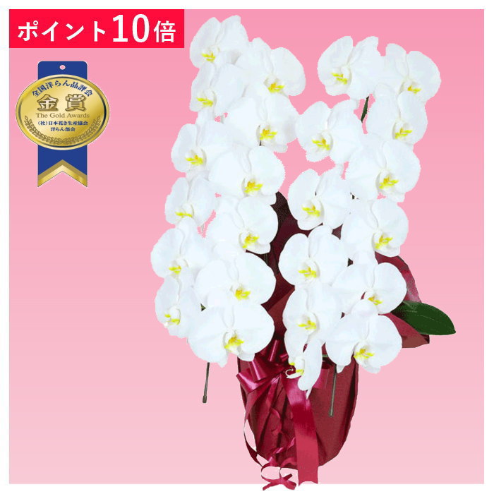 ■お届け日時 平日、土曜日のAM11時までにご注文（決済完了）で当日出荷します。期日指定も可能です。※日曜日、祝日、年末年始はあす楽対応ができません。 ■立札、メッセージカード、ラッピング 立札、メッセージカードは無料。ご希望の色でラッピングをしてお届けさせて頂きます。 ■お届け写真 ご希望の方には、お届けした商品写真を出荷案内メールに添付します。※写真は胡蝶蘭、メッセージカード、立札となります。 ■サイズ 高さ 約65～75cm　幅 約35cm　鉢サイズ 約21cm　※仕立て状態により変わる場合があります。 ■送料に関して 本州・四国・九州；送料無料 北海道・沖縄；送料 3,300円（税込み）加算いたします ■その他 北海道・寒冷地域へのお届けは温度障害を防ぐため、4月〜11月までの期間出荷しかできません。気象条件により可能な場合も有りますので、詳しくはお問合せ願います。 ポイント10倍 胡蝶蘭 2本立ち 2本立 2本 大輪胡蝶蘭 大輪系胡蝶蘭 白色 ホワイト 大輪 洋蘭 洋ラン 胡蝶 ラン 蘭 洋 鉢 フラワーショップ乃木坂 乃木坂 お祝い ギフト 就任 誕生日 開店 祝い 開店祝い 開業 新年 挨拶 還暦 お盆 敬老の日 敬老 クリスマス 正月 お供え 花 匿名 配送 送料 送料無料 安い お急ぎ 沖縄■あす楽 平日、土曜日のAM11時までにご注文（決済完了）で当日出荷します。期日指定も可能です。※日曜日、祝日、年末年始はあす楽対応ができません。 ■寸法 高さ 約65～75cm　幅 約35cm　鉢サイズ 約21cm　※仕立て状態により変わる場合があります。 ■立札、メッセージカード、ラッピング 立札（木目札・紙札）、メッセージカードは無料。ご希望の色でエレガントな二重ラッピングをしてお届けさせて頂きます。木札は木の板に木目調の紙札を貼り付けた物となります。 ■画像配信 ご希望の方には、お届けした商品写真をメールにてお送り致します。 ■送料に関して 本州・四国・九州；送料無料 北海道・沖縄；送料 3,300円（税込み）加算いたします ■注意事項 ご注文のタイミングにより開花していない場合が稀にある為、ご希望の納期にお届けできない場合がございます。ご注文前にお問合せ頂けましたら開花状況をお知らせ致します。 ■お祝い事 お祝い・御祝・御開店・御開業・御開院・御移転・御栄転・御新築・御落成・御竣工・上場・一部上場・○周年・創立○周年御祝・設立○周年御祝・陣中御見舞い・祈御活躍・祈御健闘・祈大勝・御当選・御当選御祝・御受賞・受賞記念・御就任・御定年・御退職・御出演・還暦・古希・喜寿・傘寿・米寿・卒寿・白寿・百寿・御出産・結婚記念日・母の日・父の日・敬老の日・入学・卒業・記念日・誕生日・結婚記念・卒園・出産・快気祝い・結婚祝い・入進学・入園・卒園・結婚引出物・結婚式・プレゼント・快気・御見舞御礼・記念品・賞品・景品・開院祝 ■お悔やみ事 供・御供・葬儀会場・追善法要・追悼法要・年忌法要・一周忌・三回忌・七回忌・十三回忌・一七回忌・二十三回忌・二十七回忌・三十三回忌・五十回忌・命日・法事・法要・盆 ■ご用途 開店祝 開業祝 昇進祝 還暦祝 古希祝 米寿祝 お盆 お彼岸 お歳暮 敬老の日 株主総会 結婚記念日 出産祝い 就任祝い 栄転祝い 退職祝い 歓送迎祝い 移転祝い 引越祝い 新築祝い 開院祝い お礼 感謝 お返し お詫び お祝い ギフト 贈呈 発表会 展示会 講演会 お見舞い 成人式 成人の日 内祝い クリスマス バレンタインデー ホワイトデー 合格祝い ご卒業祝い ご入学祝い 七五三 お年賀 お中元 御中元 御歳暮 ご供養 お供え 法要 ご挨拶 開店 オープン SALE 花 暑中見舞い 楽屋見舞い 送料無料 金婚式 銀婚式 プロポーズ 婚約 胡蝶蘭 こちょうらん コチョウラン 合格 ご当選 大輪 2本立 2本立ち 大輪 全国洋らん品評会 金賞受賞 開院 開業 移転 受章祝い 勲章 褒章 叙勲 白大輪 ボリュームアップ 胡蝶蘭 贈り物 喜寿 傘寿 卒寿 百寿 御供 勲章