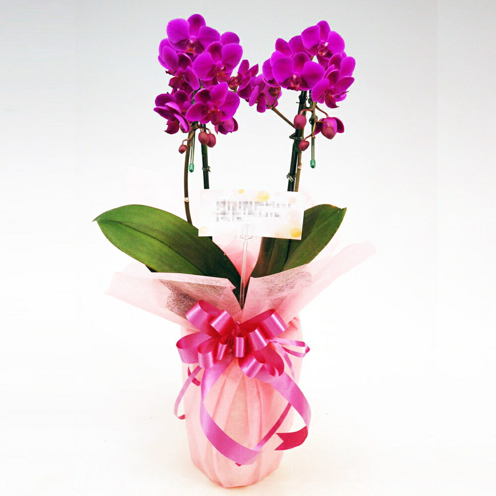 �ߥǥ� ��ĳ�� ��ŷ�� 2��Ω�� �ԥ� ���ˤ� ��ž�ˤ� ��Ź�ˤ� ��Ǥ�ˤ� �����ˤ� ���Ƚˤ� ��ǯ�ˤ� ���ʽˤ� �࿦�ˤ� �����ˤ� ������ ���� �Ƽ� ´�� ������ �涡 ����ľ�� �̿����� Ω�� ��åԥ�̵�� ������ѥ�ե�å��� ����̵��