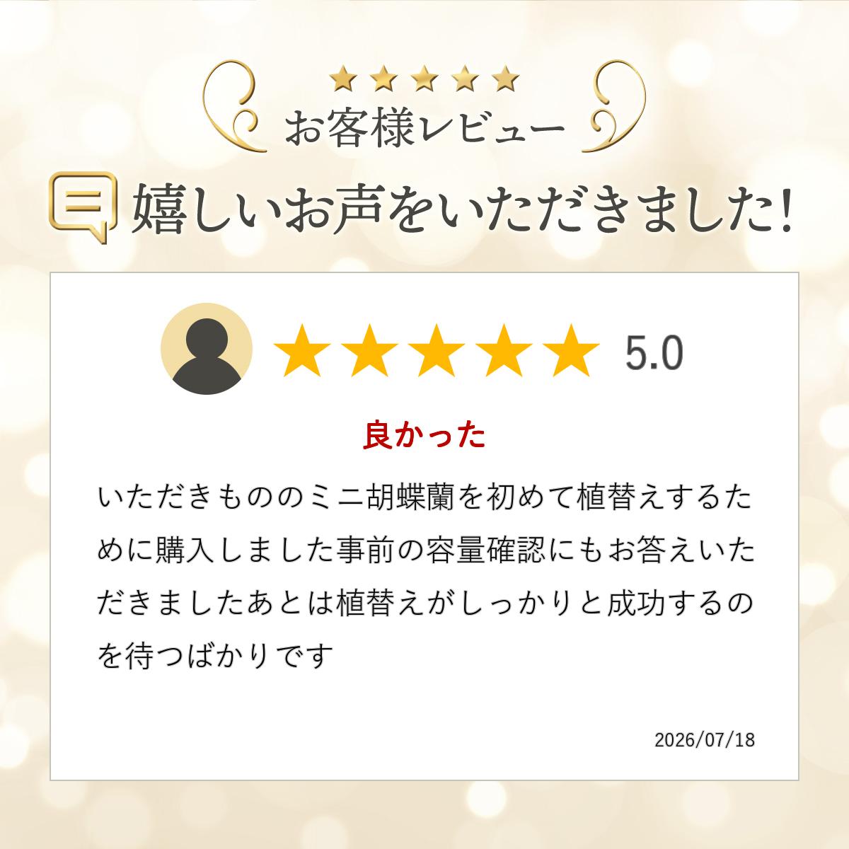 胡蝶蘭専門農園 iファーマーらんぼの【ゆうパケット送料無料】胡蝶蘭の植え替えに「水苔 50g入」植替え 植えかえ 育成 [g-uekae03]｜アングル3