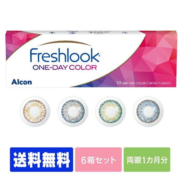 フレッシュルックワンデーカラー