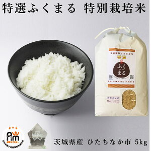 【茨城の米】茨城県産の美味しい白米のお取り寄せおすすめは？