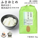 【大粒でツヤツヤ!】新米 ふさおとめ 千葉県 5kg 米 お米 令和7年産 玄米 5キロ お米マイスター厳選 令和七年度産 米5kg ご飯 精米 分付き 白米 3分 5分 7分 送料無料