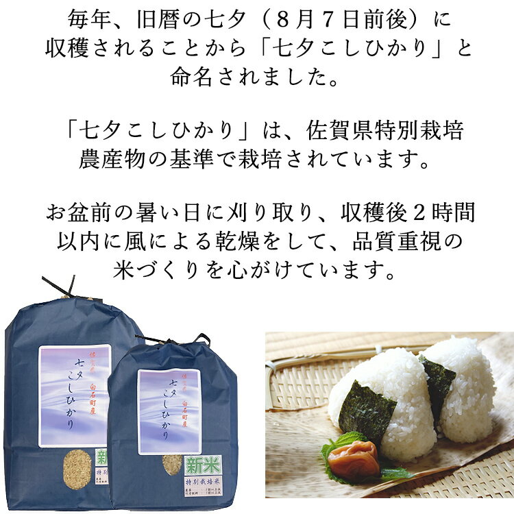佐賀県で一番最初に収穫される特別栽培米のお米。堆肥・有機質配合肥料で栽培され、環境に優しく、自然の恵みを受けて育ちました。独特の甘みともちもちとした冷めてもおいしいご飯です。　【幻のお米 限定販売】新米 特別栽培米 七夕コシヒカリ 佐賀県 白石町産 米 2kg 玄米 2キロ 5キロ 令和7年産 こしひかり コシヒカリ 白石平野 佐賀米 白石米 令和七年度 お米 ご飯 精米 分付き 白米 7分 5分 3分 お米マイスター厳選 令和7年度 送料無料