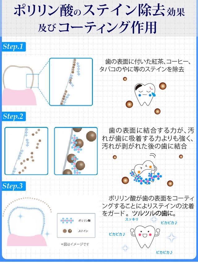 口コミから大ヒット♪ 【送料無料 】ポリリンホワイト EX 医薬部外品 薬用歯磨き 内容量19ml 1本約1ヶ月分 歯磨き 安心 ポリリン酸配合 口臭対策 ホワイトニング