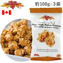 ピュアメープルバターポップコーン 100g×3袋セット メープルテラー Maple Terroir Pure Maple Butter Popcorn カナダ メープルテラー テロワール 海外